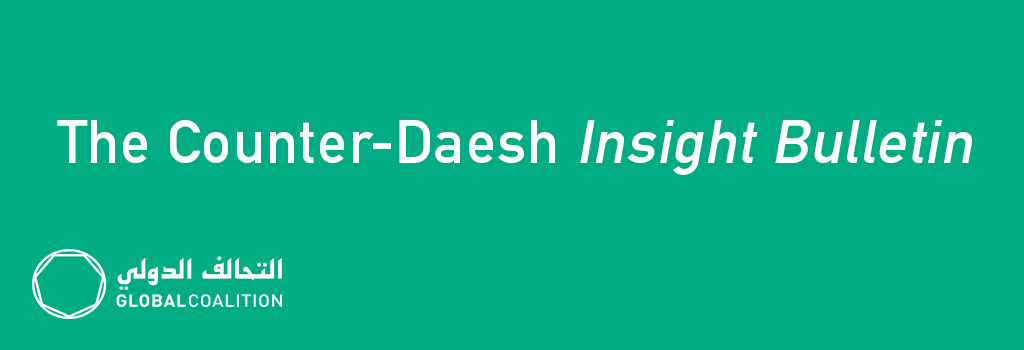Counter Daesh Insight Bulletin 2